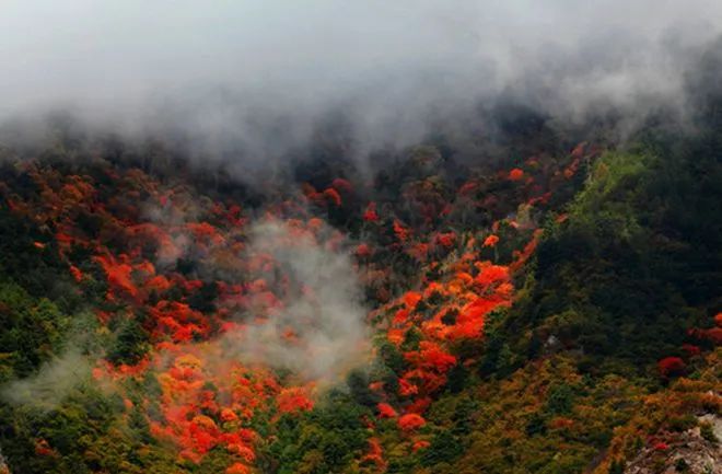 艺术涂料装修效果图案例：梦幻般的秋日流行色彩